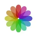 A+ Gallery - Photos & Videos