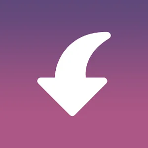 Insget – Video & Story Saver