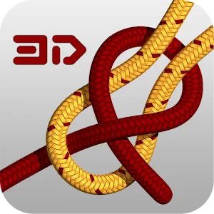 Knots 3D