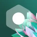 Transparent White - Icon Pack v64 APK (Full Version)