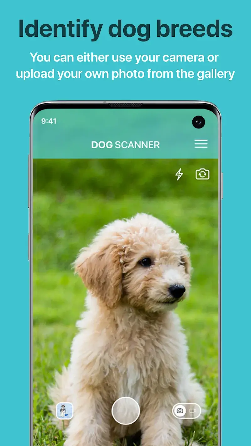 Dog Scanner V22 4 1 G MOD APK Premium Unlocked Download