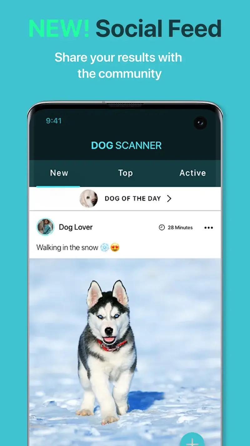 Dog Scanner V22 4 1 G MOD APK Premium Unlocked Download