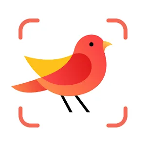 Picture Bird – Bird Identifier