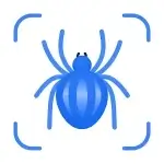 Picture Insect: Bug Identifier