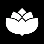 Lena White: Glyph Icon Pack