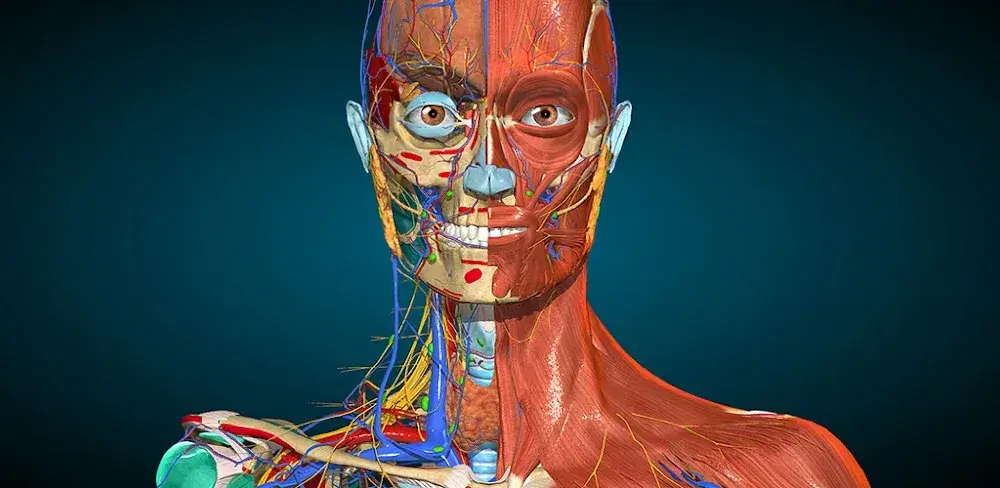 ANATOMY LEARNING 3D APK FREE visual data 5