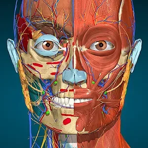 Anatomy Learning – 3D Anatomy