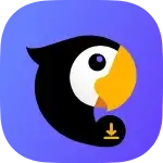 Teradownloader.com & Player (Parrot Downloader)