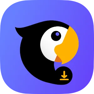 Teradownloader.com & Player