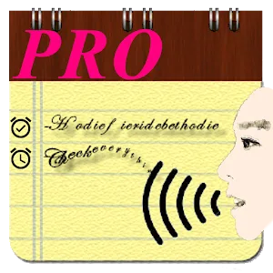 Voice Notes (Pro)