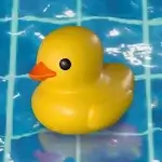 Placid Plastic Duck Simulator