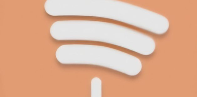 Spotify Playlist Downloader