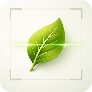 Plant Health Identifier