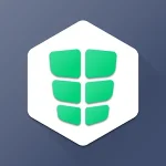 Absbee: Core & Stomach Workout