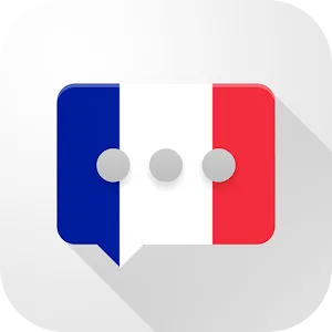 French Verb Blitz Pro